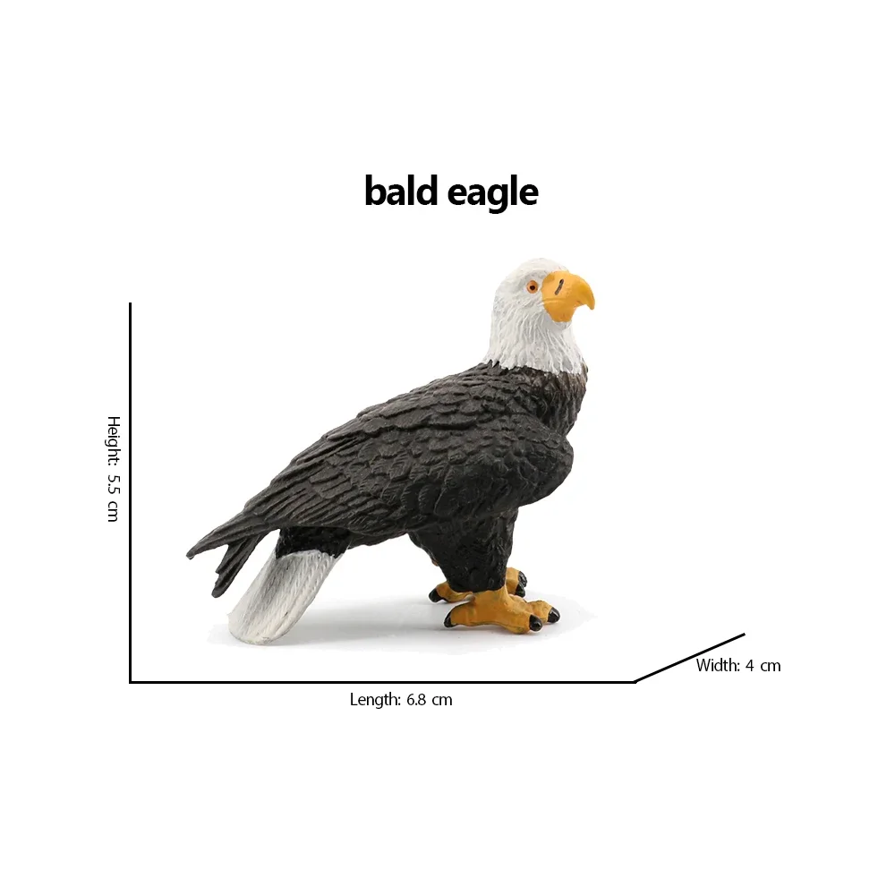ハクトウワシペリカンオオハシカワセミフクロウ鳥動物フィギュア - Kids Toys Under 200 のレビューと価格