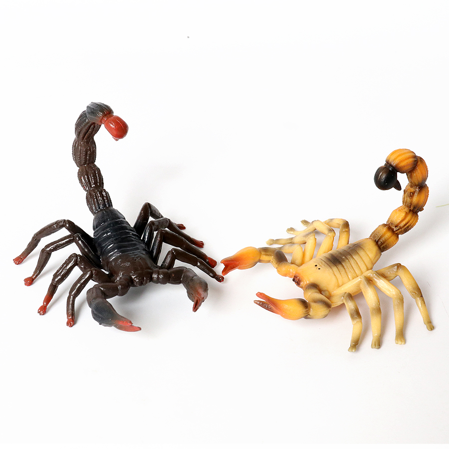リアルな昆虫動物フィギュア、糞虫、マラタス・ヴォランス、サソ - Kids Toys Under 200 のレビューと価格